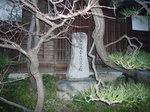 P1040288.JPG